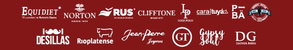 sponsors-ladies-cup